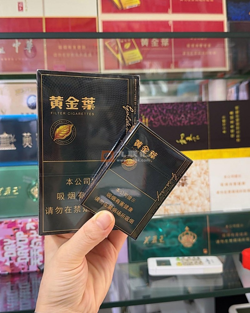 黄金叶(蓝调中支)相册 94955_96531