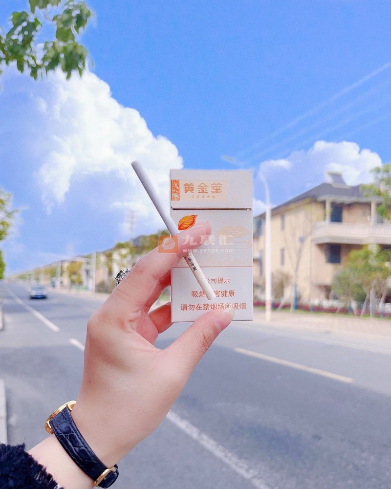 黄金叶(天香细支)相册 3670_15125