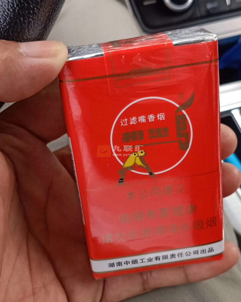 相思鸟(软)相册 2072_64385