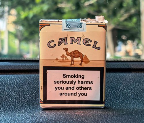 骆驼(无嘴)相册 