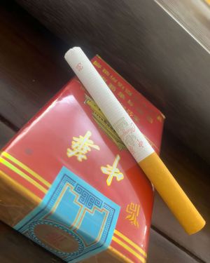 中华(软建厂百年版)