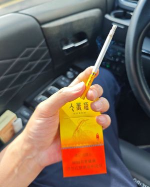 长白山(老人参细支)