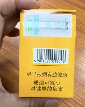 真龙(锦绣东方)