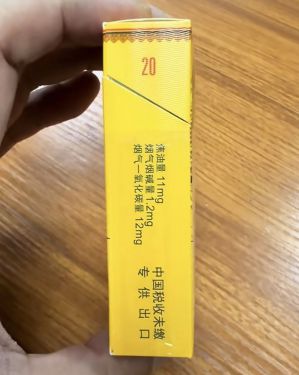 真龙(锦绣东方)