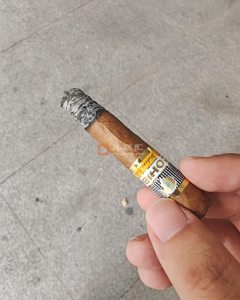 高希霸(宽短号)