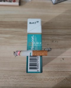 新港(绿卡塔尔版)相册 