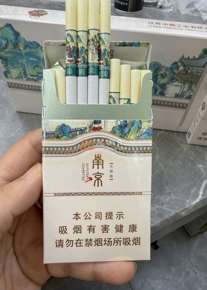 南京(大观园新版)相册 115072_26495