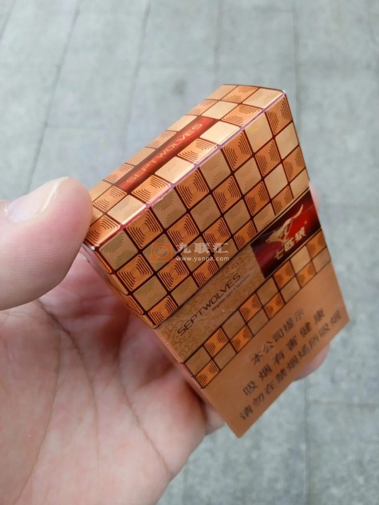 七匹狼(豪运)相册 1132_18253