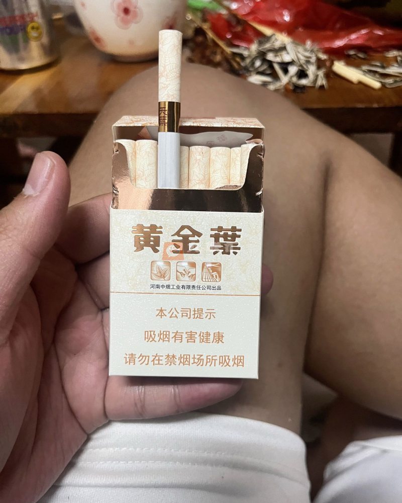 黄金叶(天叶)相册 290_60559