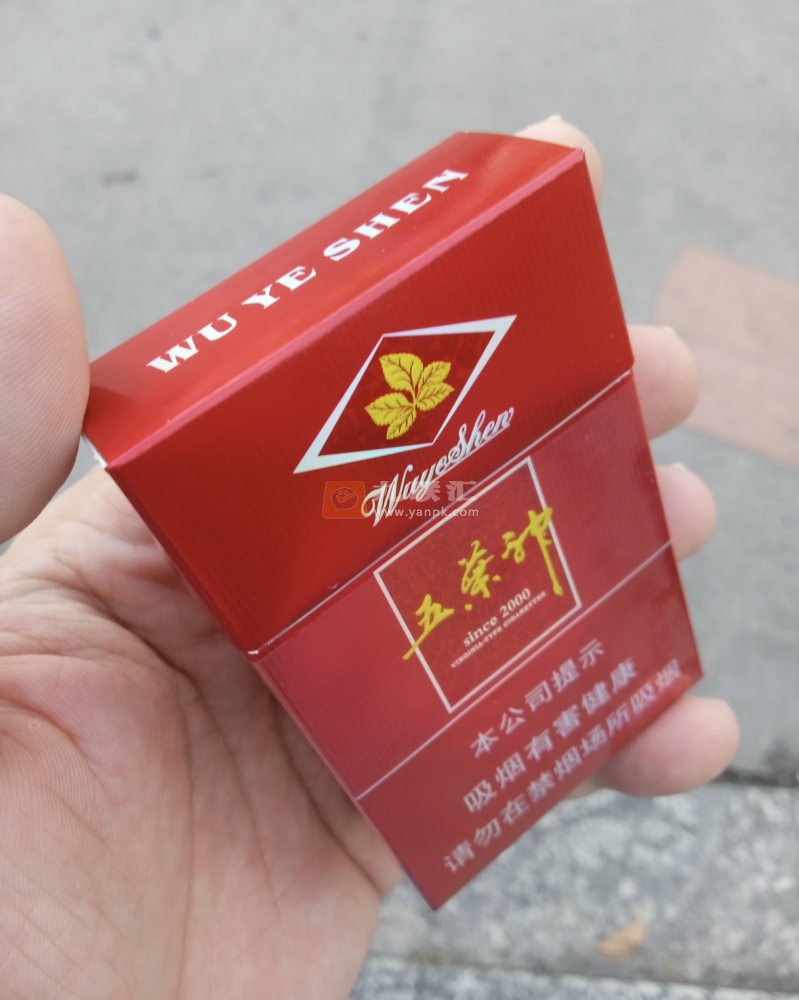 五叶神(硬红)相册 1191_57422