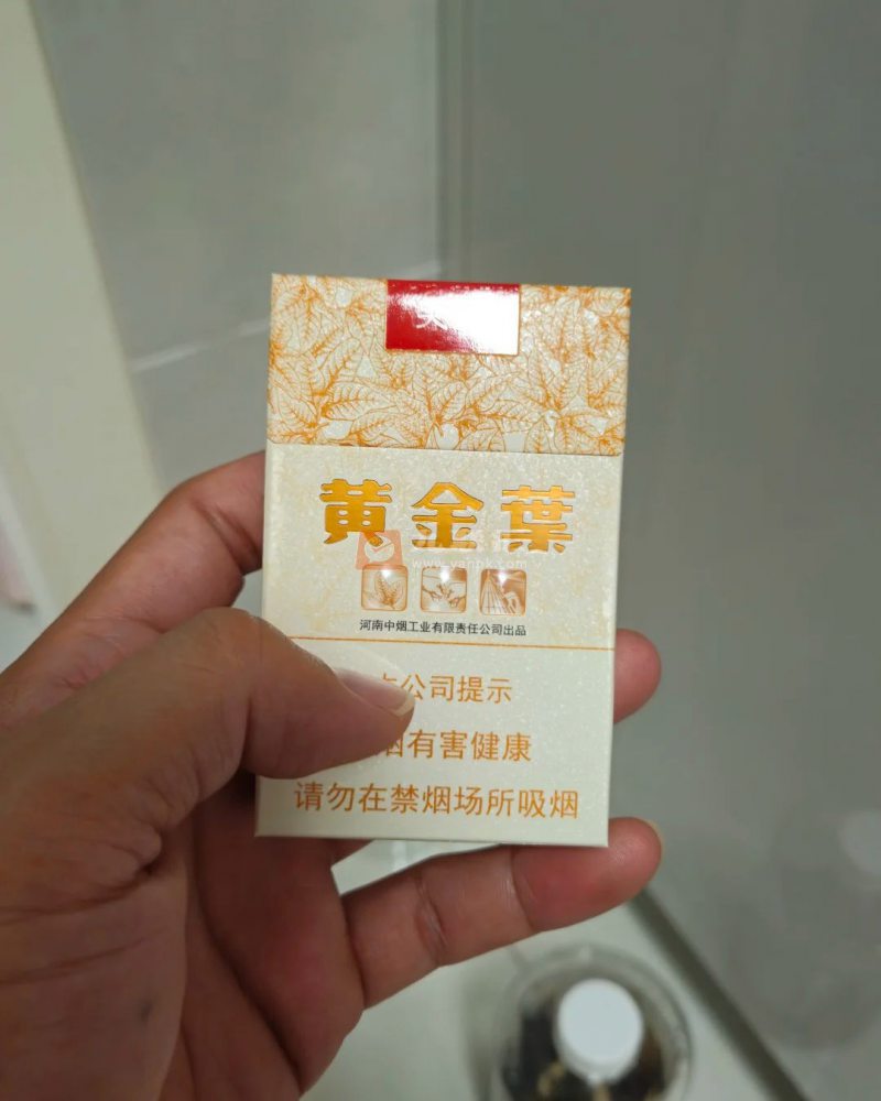 黄金叶(天叶)相册 290_14886