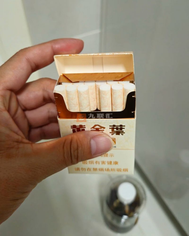 黄金叶(天叶)相册 290_24650