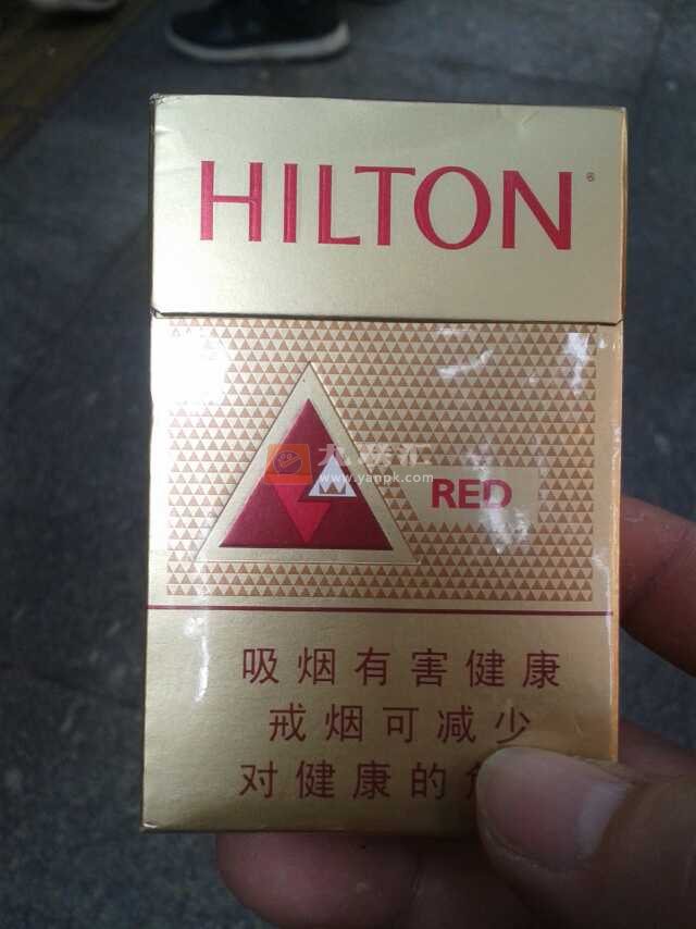 希尔顿(红)相册 2175_97203