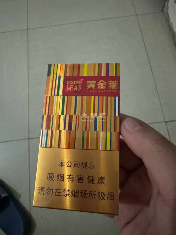 黄金叶(金炫尚)相册 103101_20384