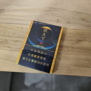 天子(观天下中支)