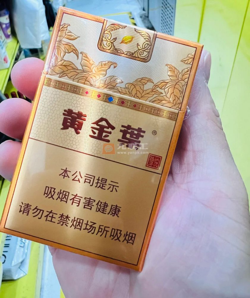 黄金叶(豫悦)相册 115207_38267