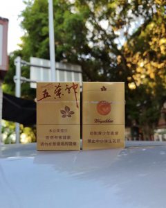 双喜(金尊五叶神)相册 