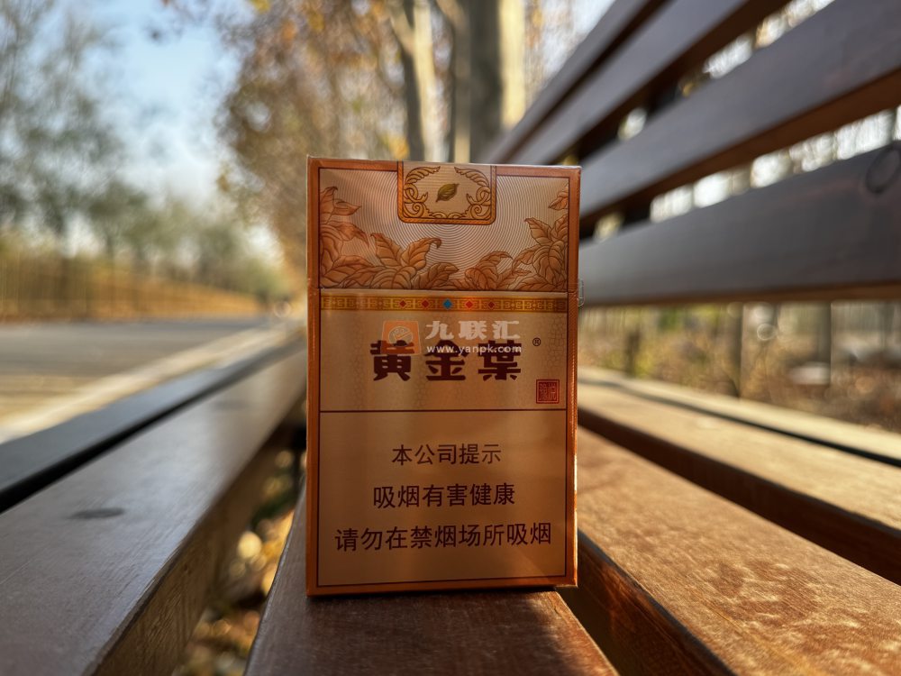 黄金叶(豫悦)相册 115207_46526