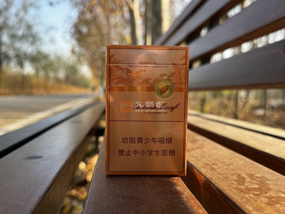 黄金叶(豫悦)相册 115207_96404