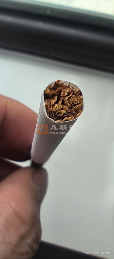 金圣(青瓷)相册 94728_37213