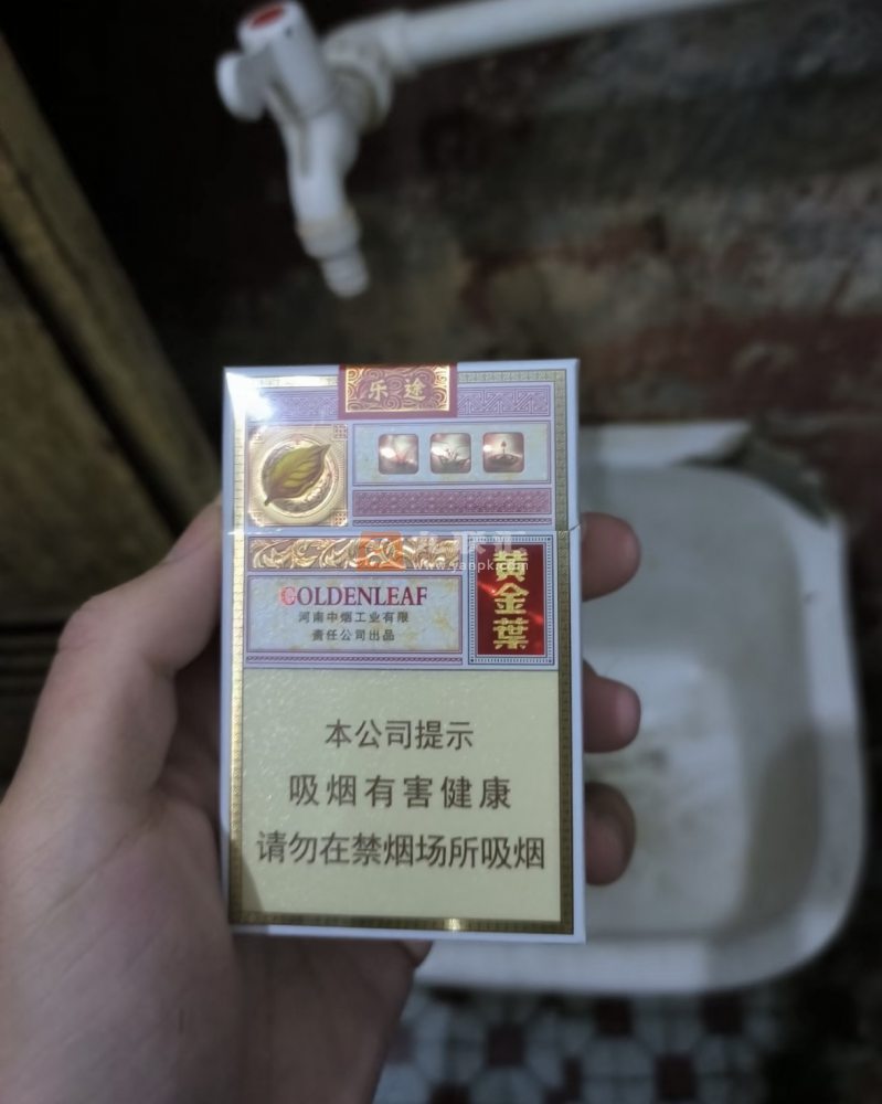 黄金叶(硬乐途)相册 97878_41434