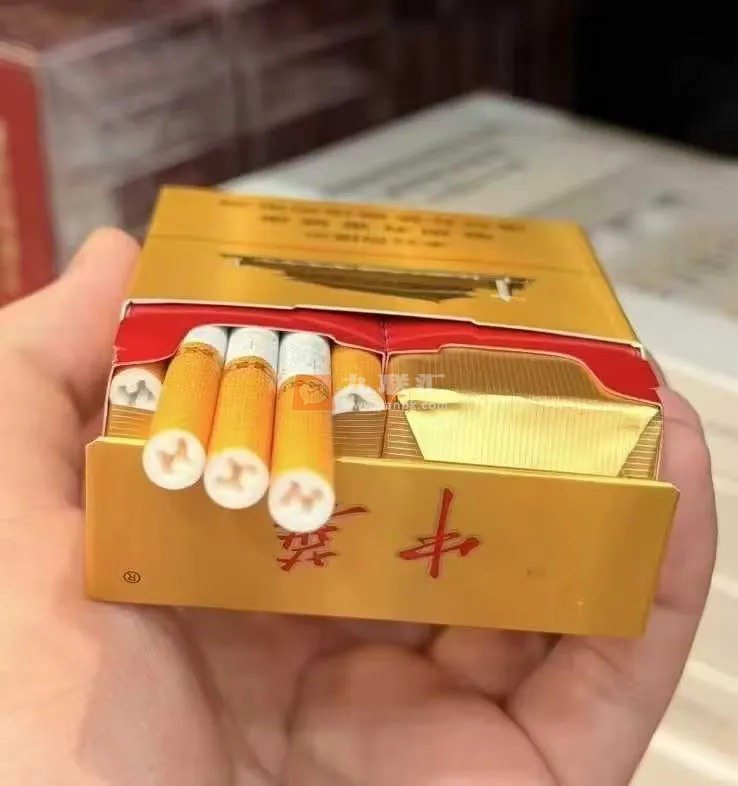 中华(金双中支)相册 115279_89137