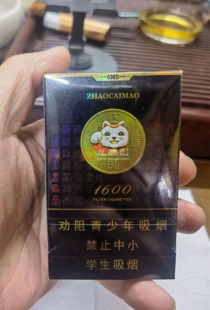 好猫招财进宝1600相册 92678_41434