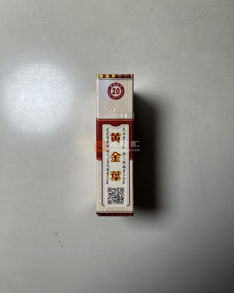 黄金叶喜满堂相册 92708_37803