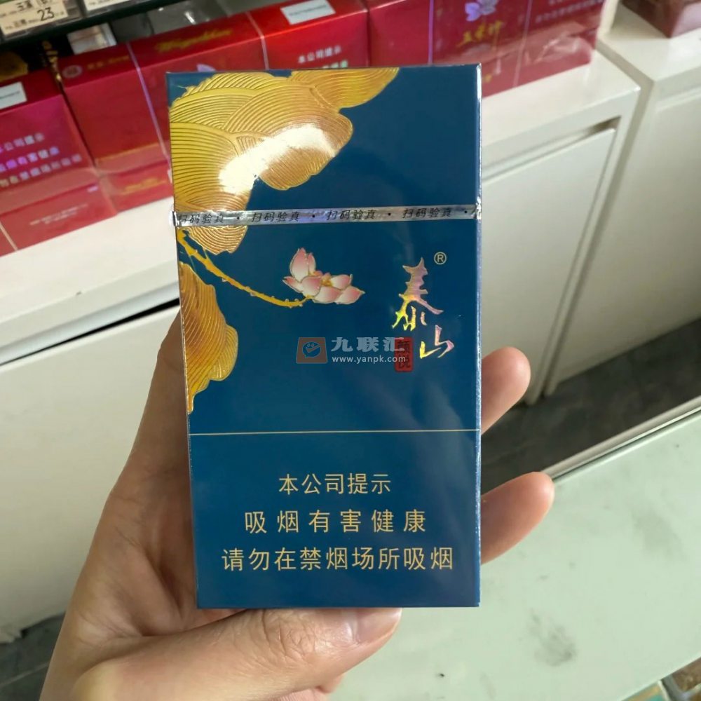 泰山(蓝颜悦)相册 93224_43143