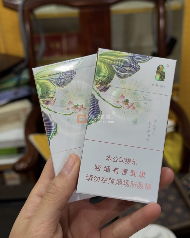 泰山(茉莉香韵)相册 93954_45609