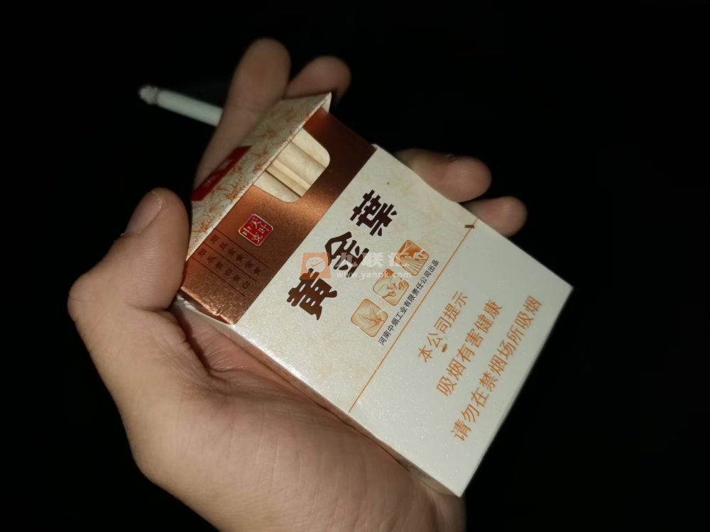 黄金叶(天叶中支)相册 95666_11159