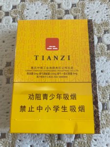 天子(中国心中支)