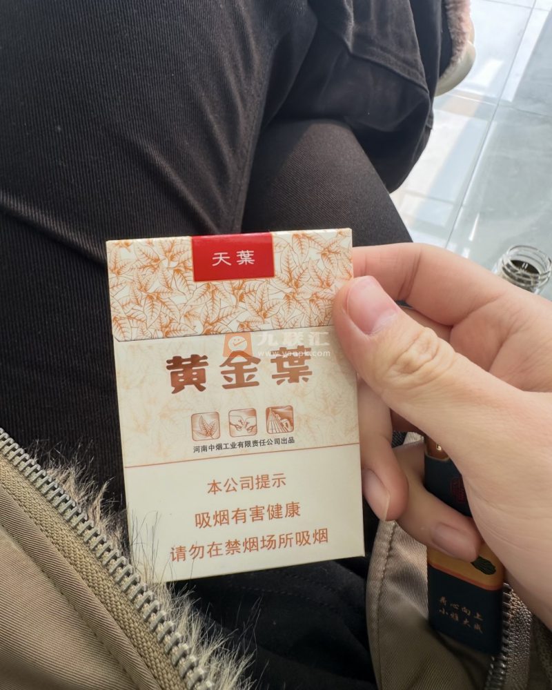 黄金叶(天叶中支)相册 95666_61792