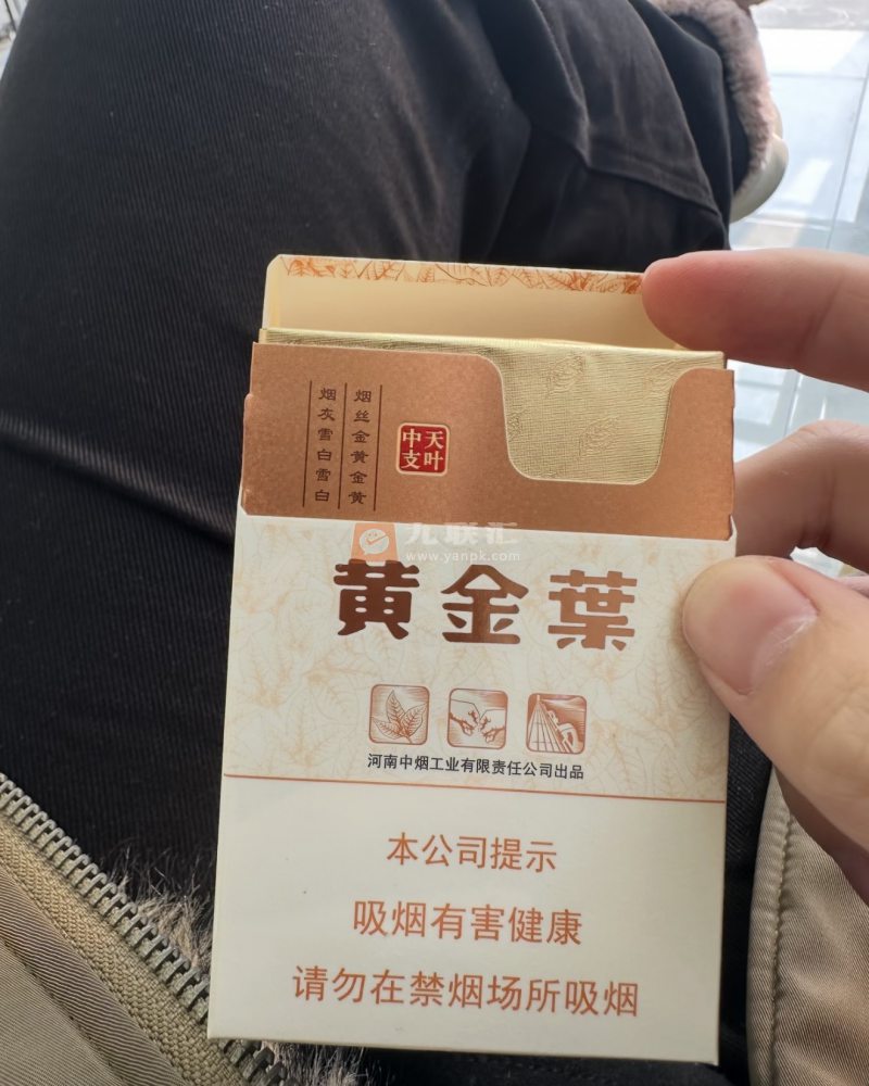 黄金叶(天叶中支)相册 95666_92098