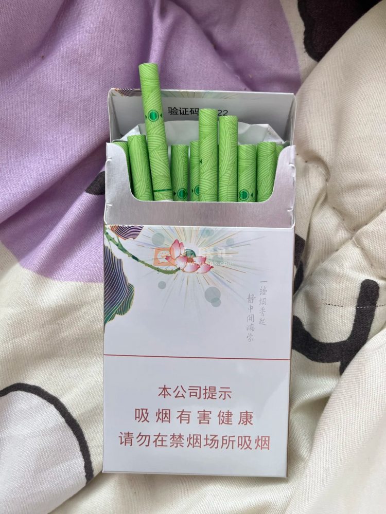 泰山(茉莉香韵)相册 93954_83644