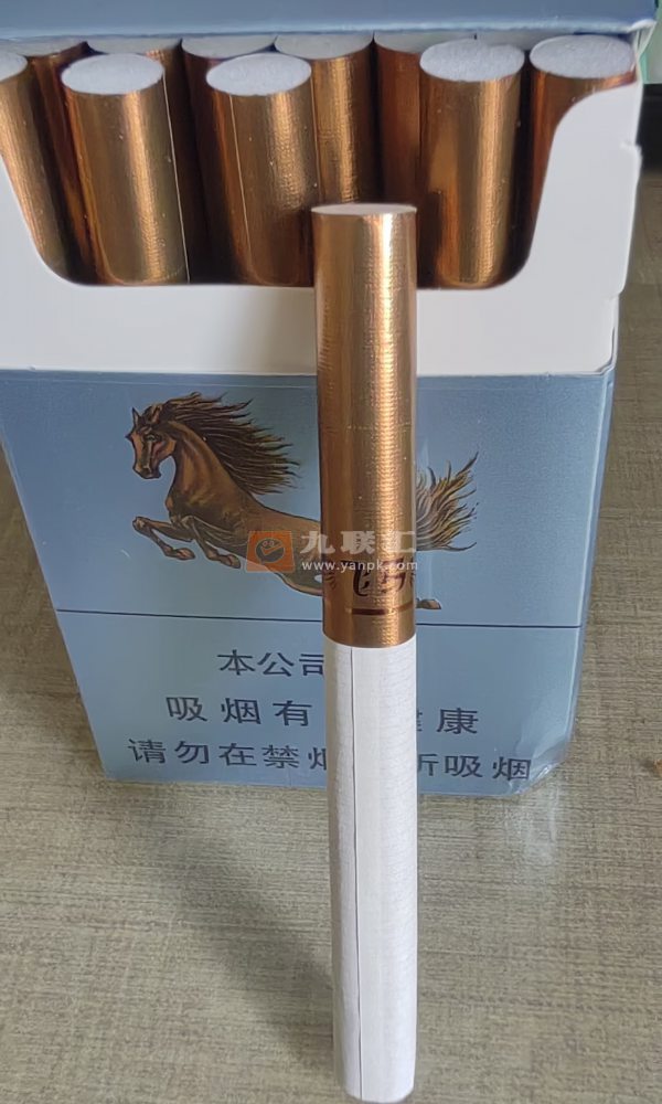 牡丹(飞马)相册 94910_13309