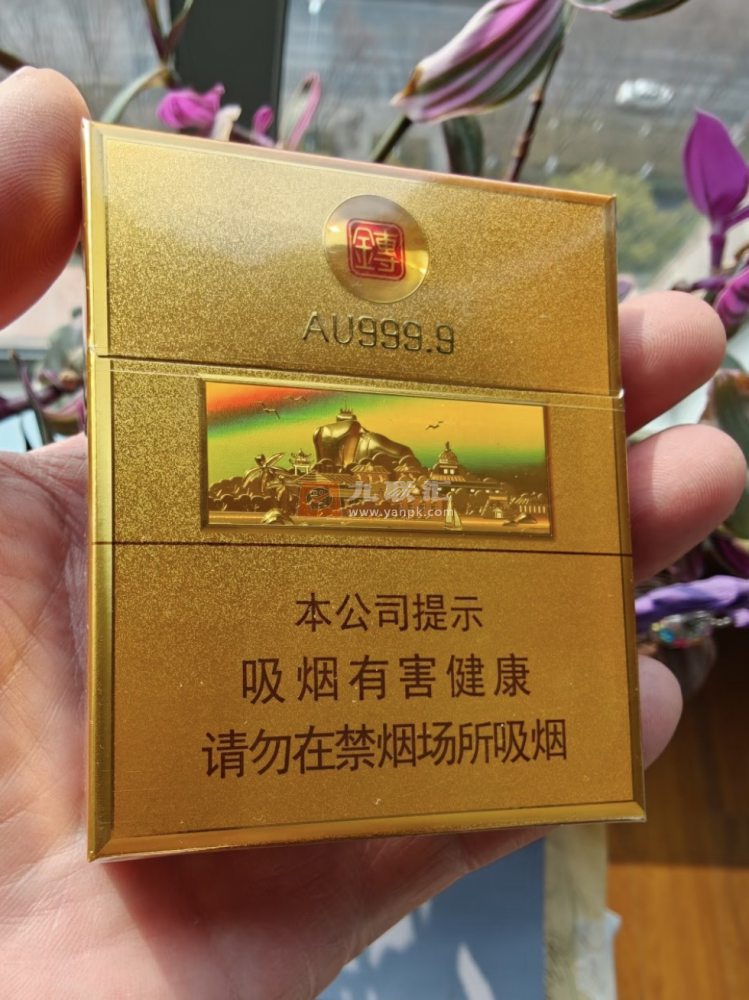 七匹狼(小金砖)相册 114858_74844