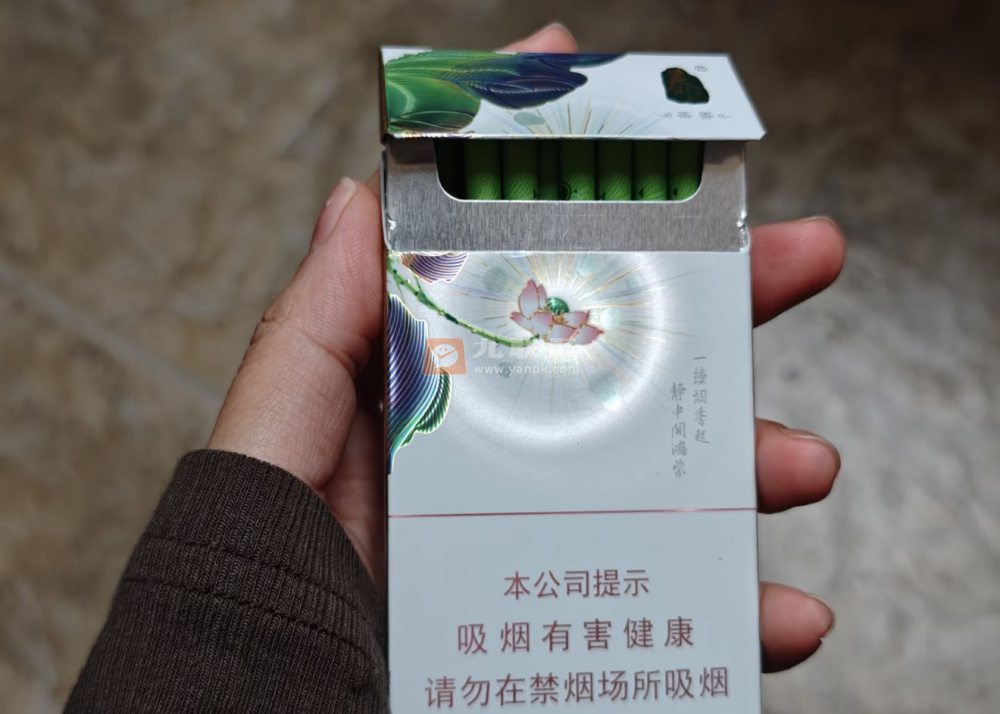 泰山(茉莉香韵)相册 93954_74311