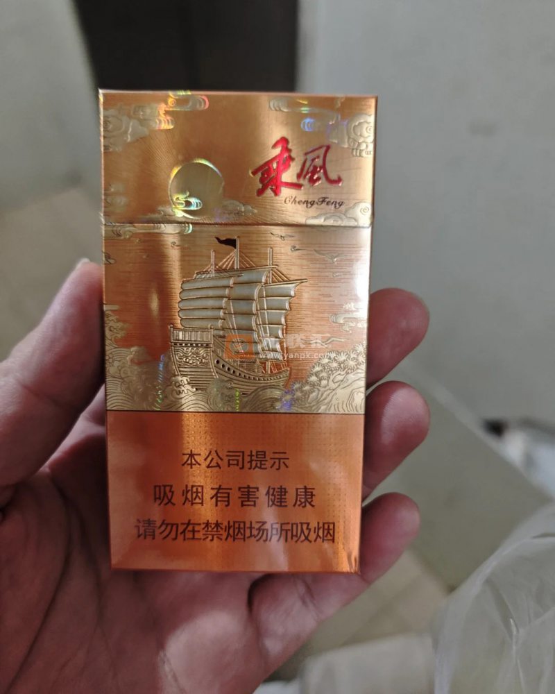 七匹狼(乘风启航)相册 93951_29061