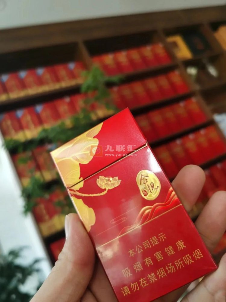 泰山(合悦红)相册 114862_64635