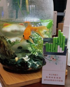 泰山(茉莉香韵)