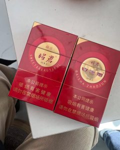 大青山(硬红昭君和亲)