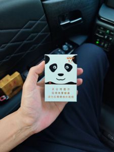 娇子(宽窄国宝)