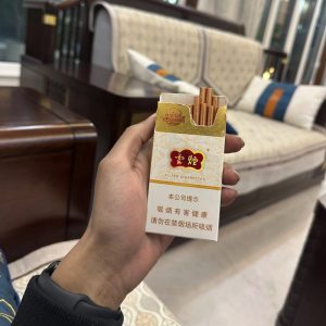 云烟(云龙细支)