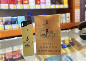 泰山(儒风新版)