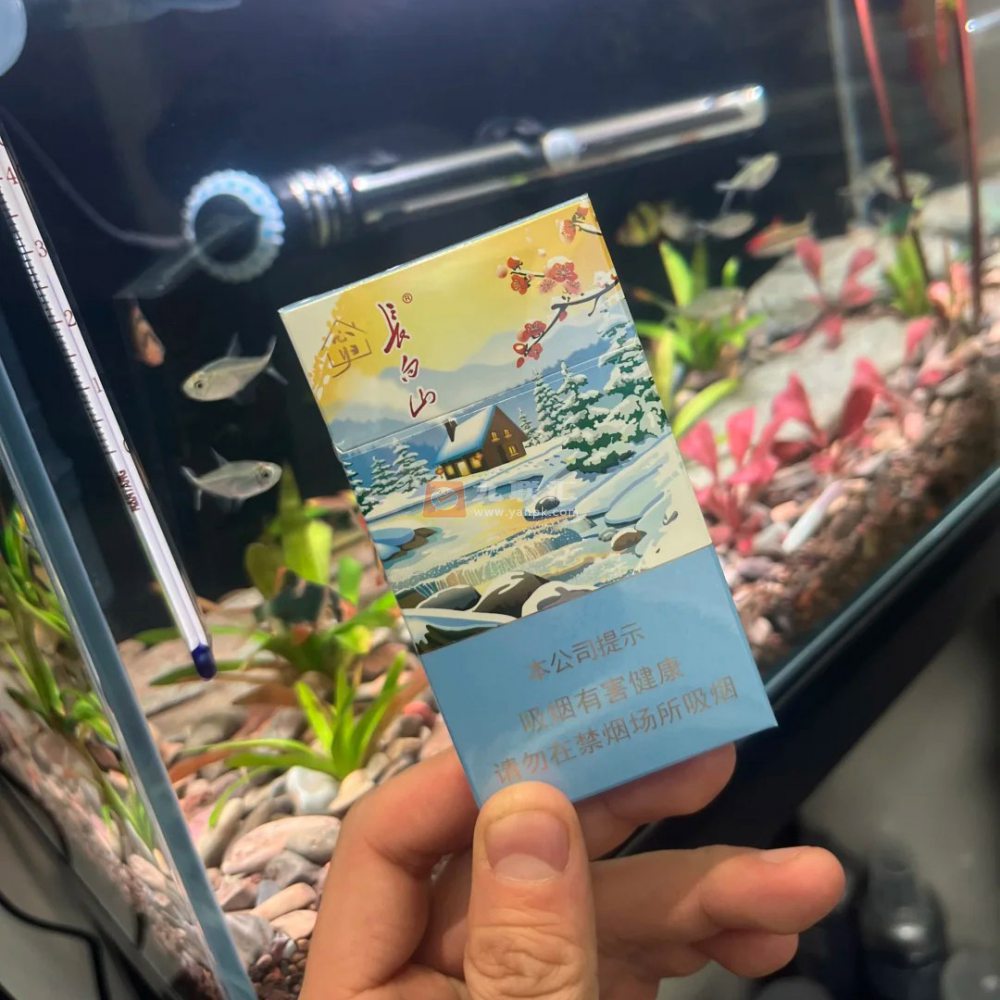 长白山(心归细支)相册 114998_95731