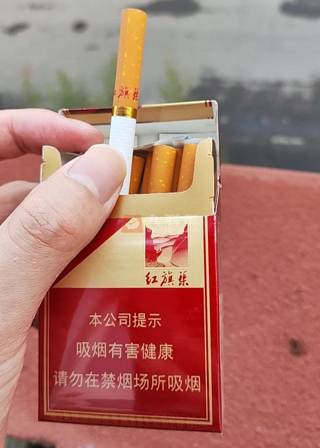 黄金叶(硬红旗渠)相册 299_27979