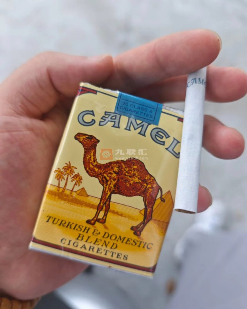 骆驼(无嘴)相册 2227_62097