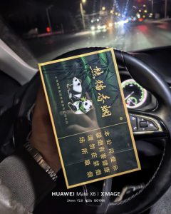 熊猫(典藏中支)