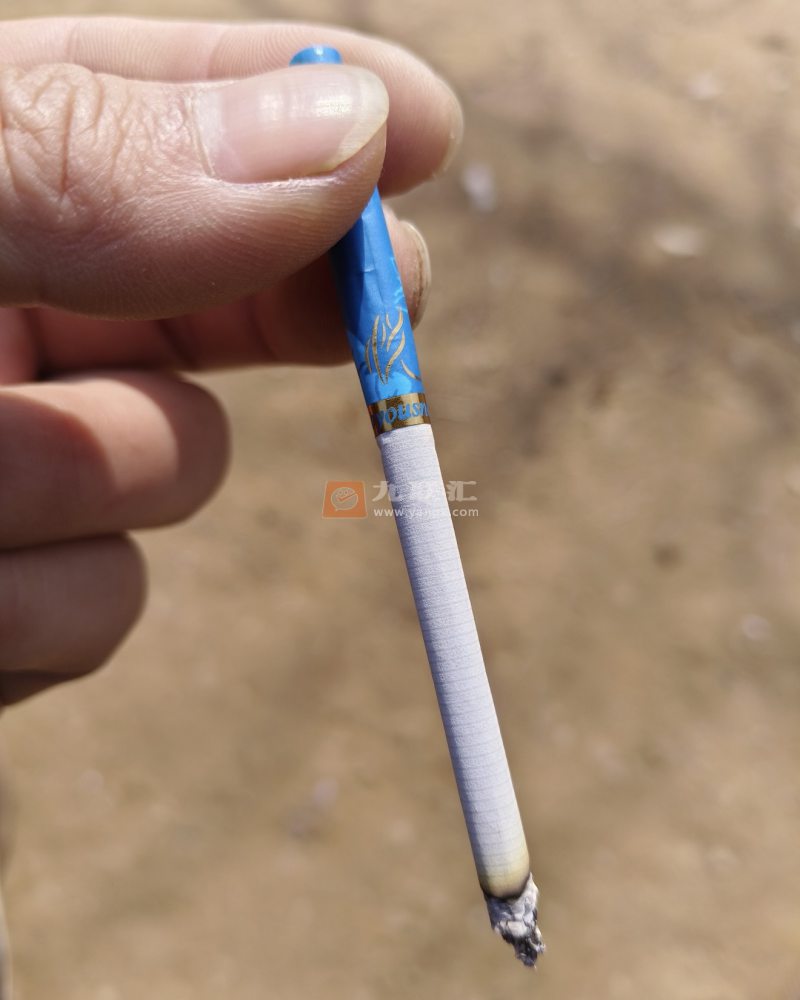 泰山(蓝颜悦)相册 93224_13581